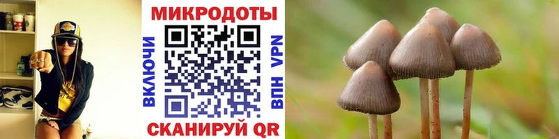 Галлюциногенные грибы прущие грибы Полысаево